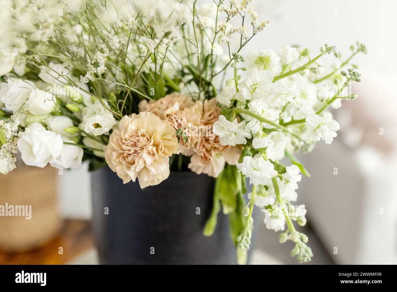 Weißes, grünes und rosafarbenes Blumenarrangement in schwarzem Topf Stockfoto
