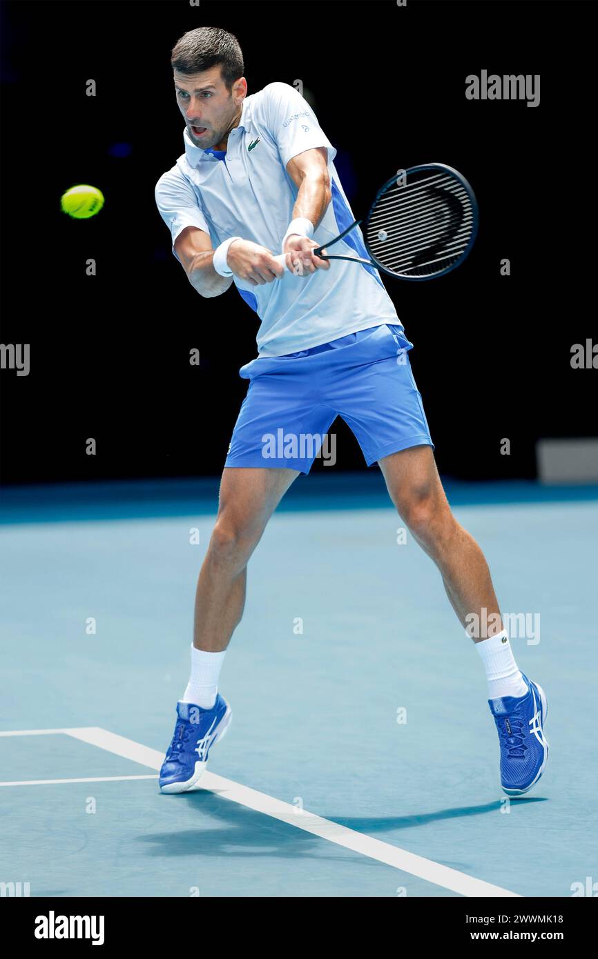 Novak Djokovic (SRB) in Aktion bei den Australian Open 2024 im Melbourne Park, Melbourne, Victoria, Australien. Stockfoto