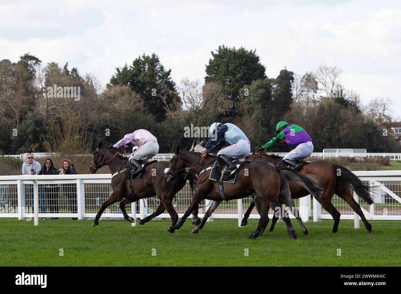 Ascot, Großbritannien. März 2024. Horse King's Threshold, geritten von Jockey Tom Bellamy (grüne und violette Seide), gewinnt die Ascot Racecourse unterstützt die Erzielung von Handicap Tureple Chase für Kinder beim Spring Family Raceday auf der Ascot Racecourse. Besitzerin Segeln Nach Byzantium, Trainerin Emma Lavelle, Marlborough, Züchter William Jenks, Sponsor Hatherden Horse Transport. Quelle: Maureen McLean/Alamy Live News Stockfoto