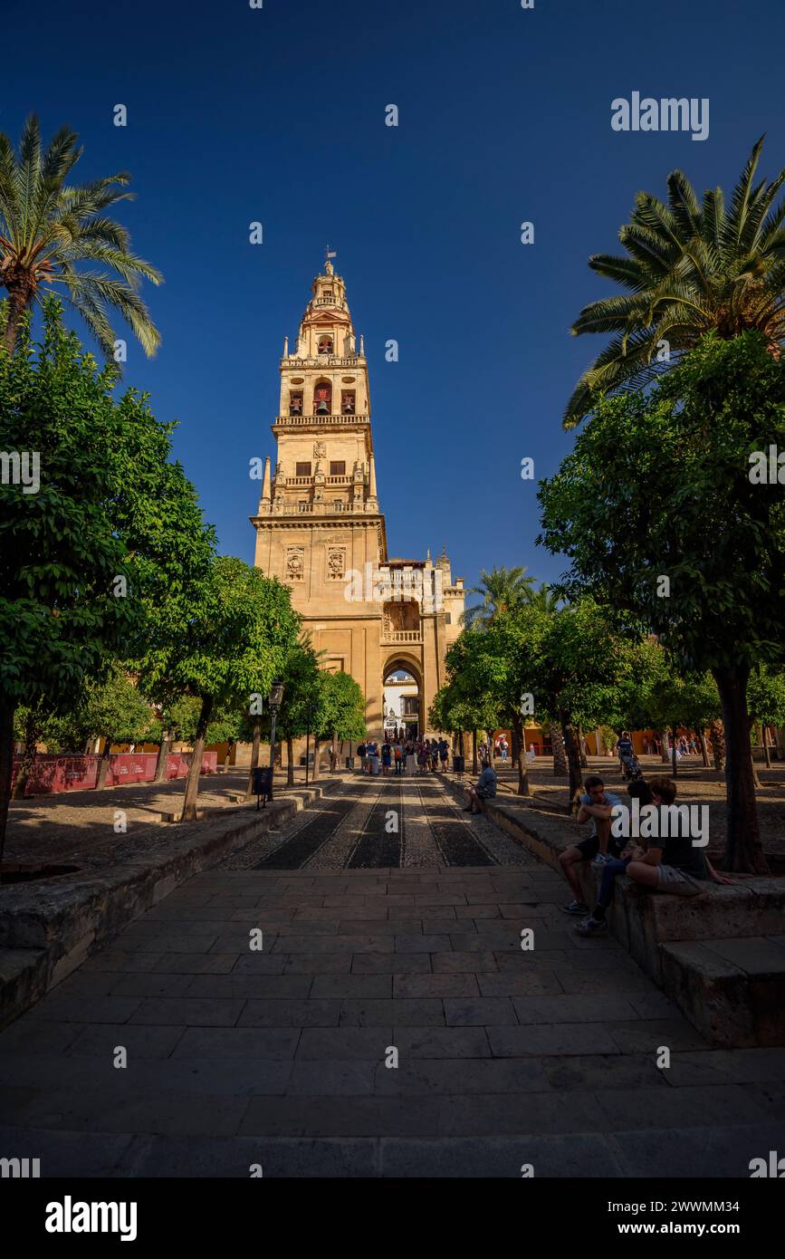Glockenturm - Minarett der Moschee-Kathedrale von Córdoba (Córdoba, Andalusien, Spanien) ESP: Campanario - alminar de la Mezquita Catedral de Córdoba Stockfoto