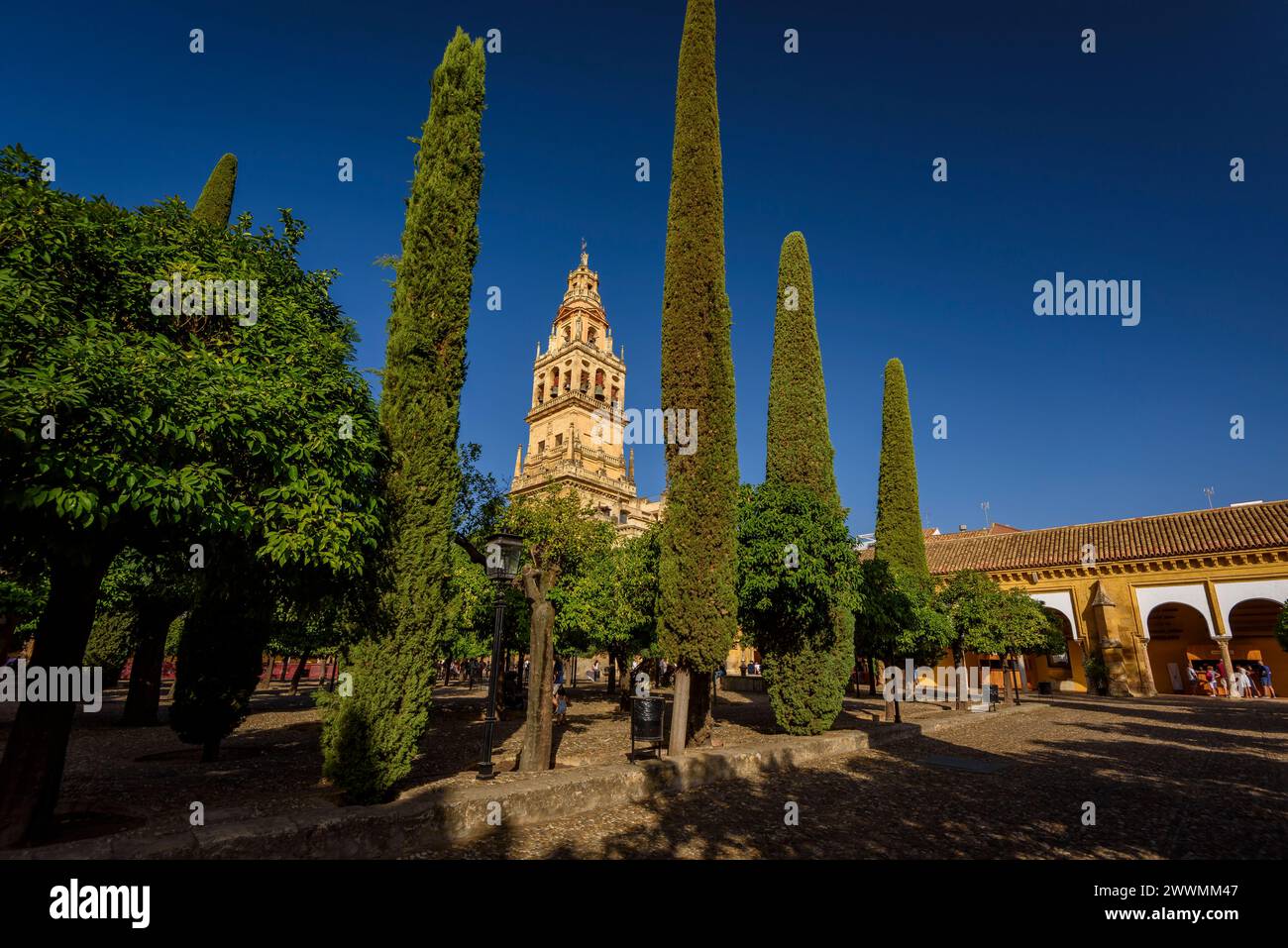 Glockenturm - Minarett der Moschee-Kathedrale von Córdoba (Córdoba, Andalusien, Spanien) ESP: Campanario - alminar de la Mezquita Catedral de Córdoba Stockfoto