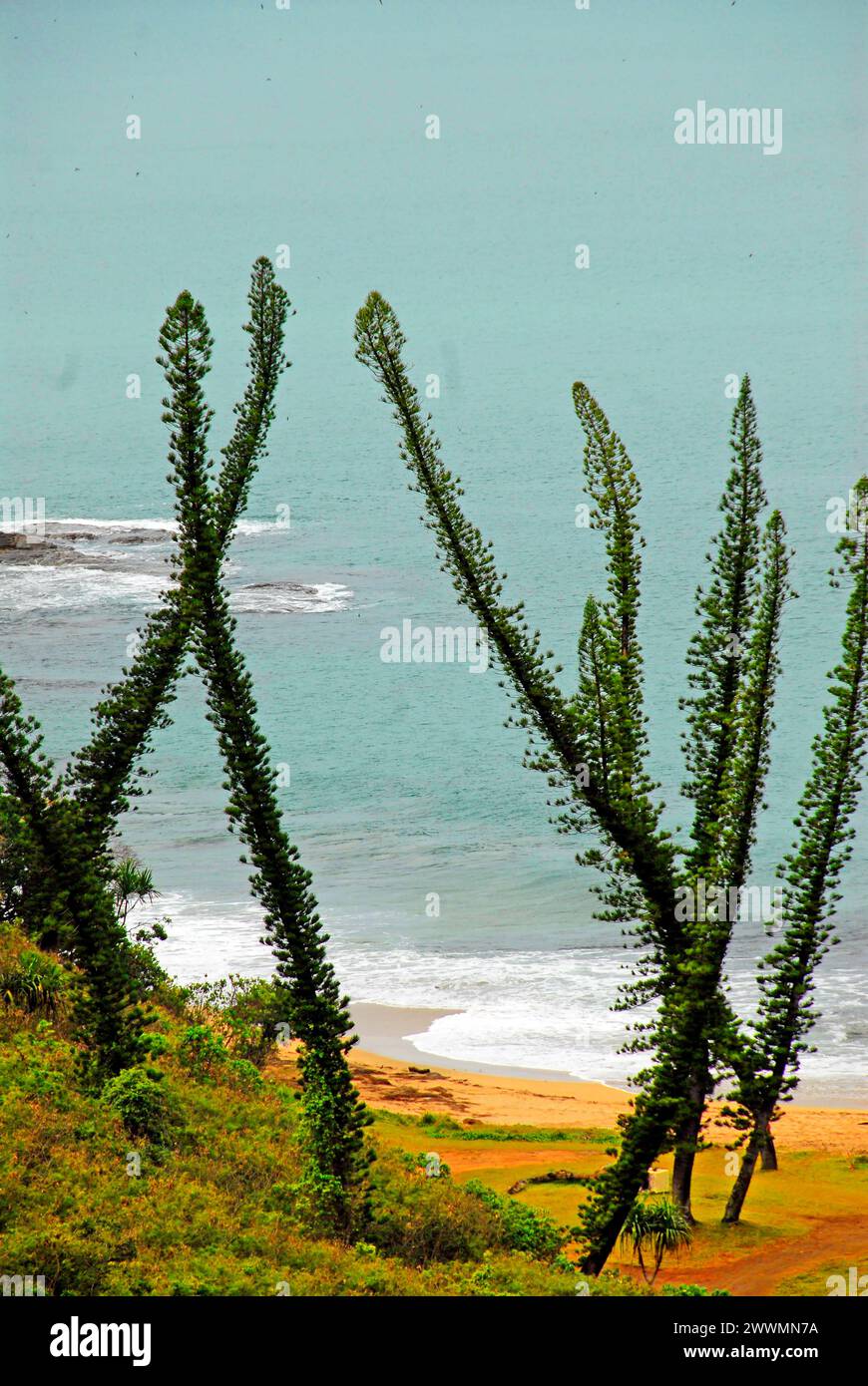 Küste, Turtle Bay, Bourail, Basse Terre, Neukaledonien Stockfoto