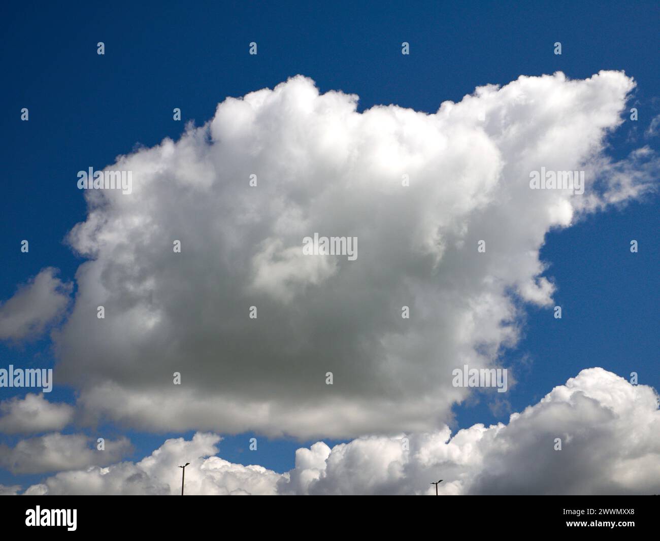 Weiße Cumulus-Wolken Hintergrund, Sommerwolken Stockfoto