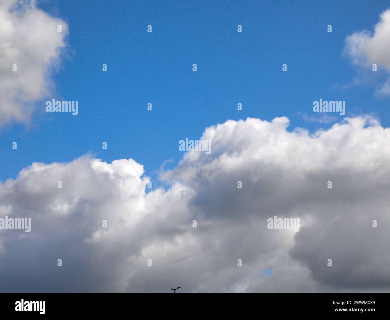 Weiße Cumulus-Wolken Hintergrund, Sommerwolken Stockfoto