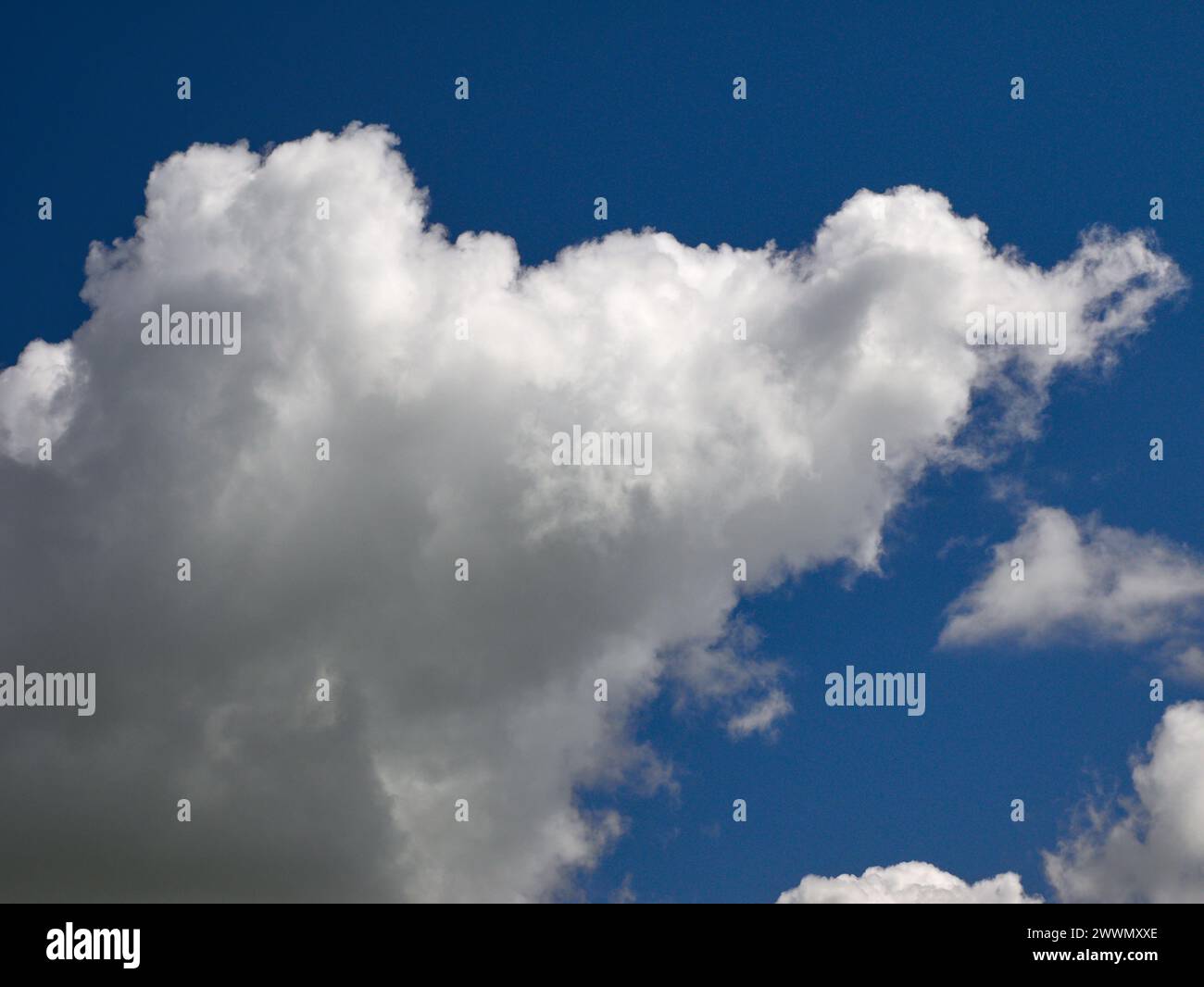 Weiße Cumulus-Wolken Hintergrund, Sommerwolken Stockfoto