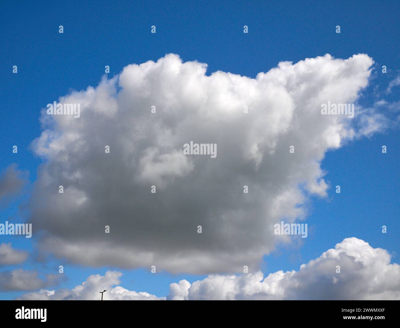 Weiße Cumulus-Wolken Hintergrund, Sommerwolken Stockfoto