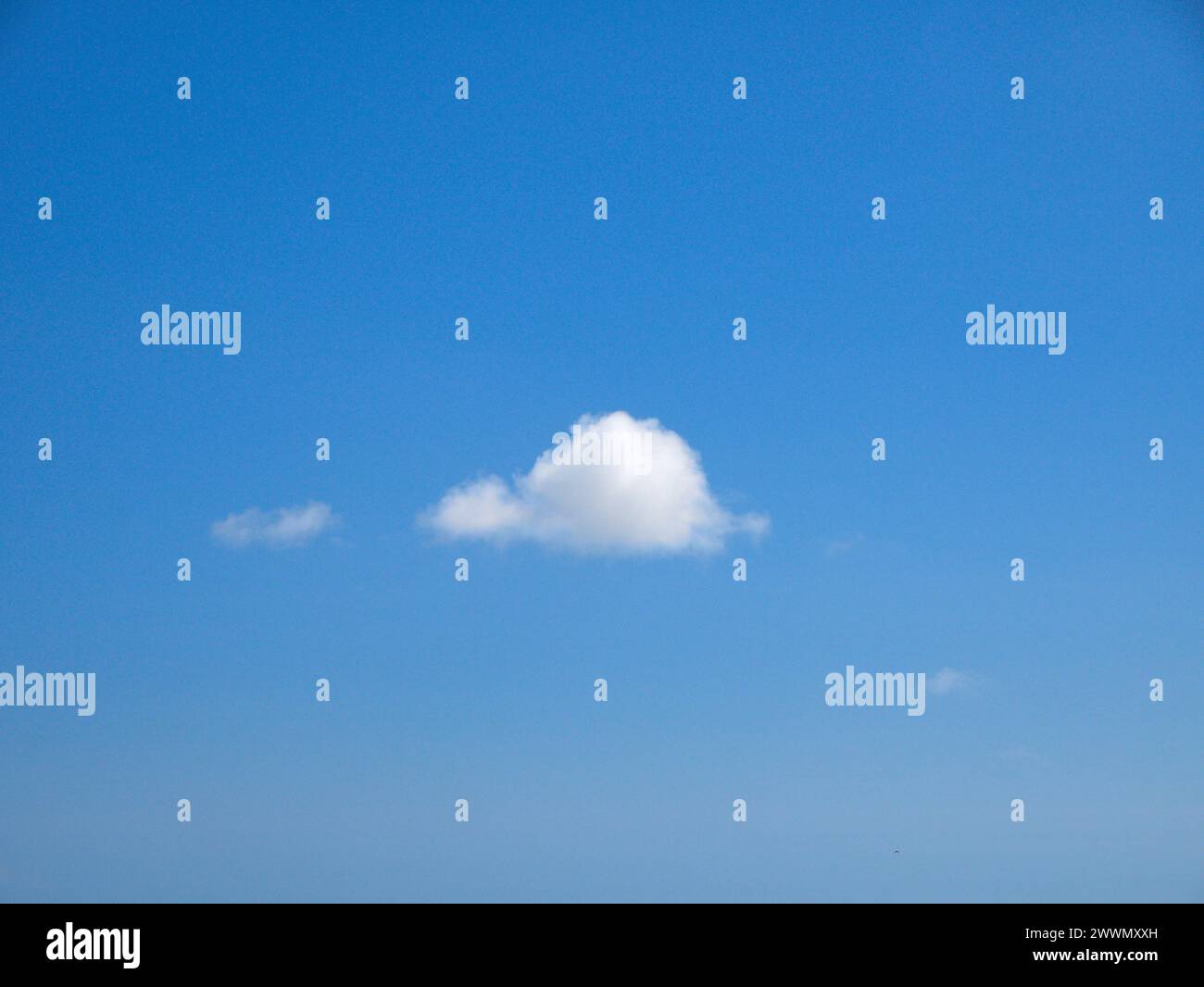 Weiße Cumulus-Wolken Hintergrund, Sommerwolken Stockfoto