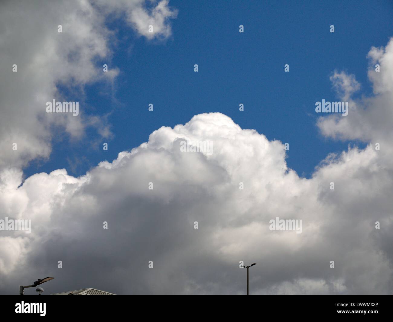Weiße Cumulus-Wolken Hintergrund, Sommerwolken Stockfoto