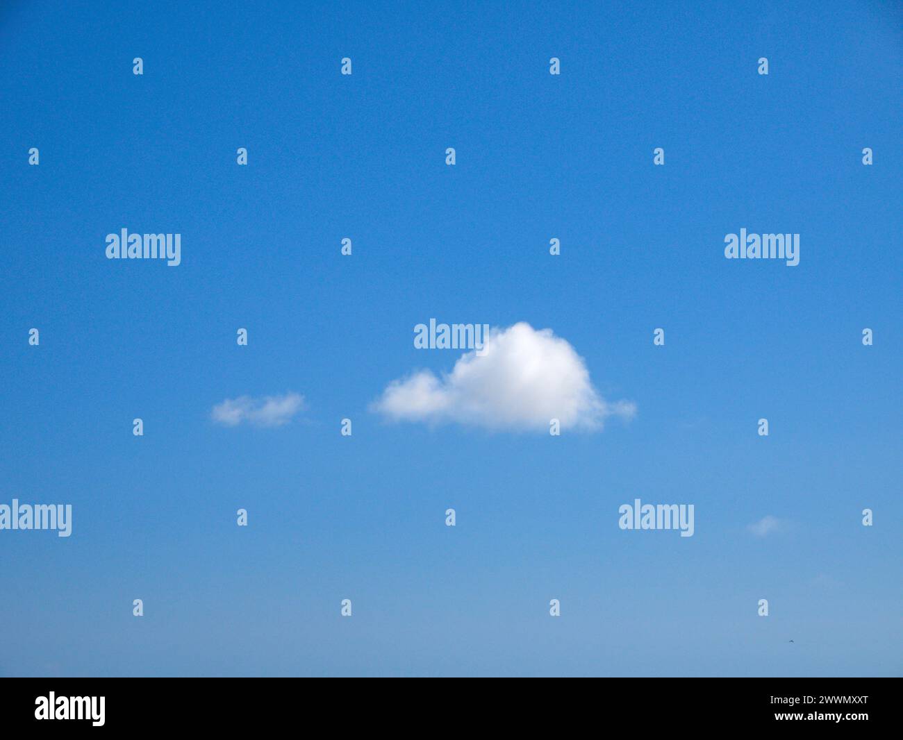 Weiße Cumulus-Wolken Hintergrund, Sommerwolken Stockfoto