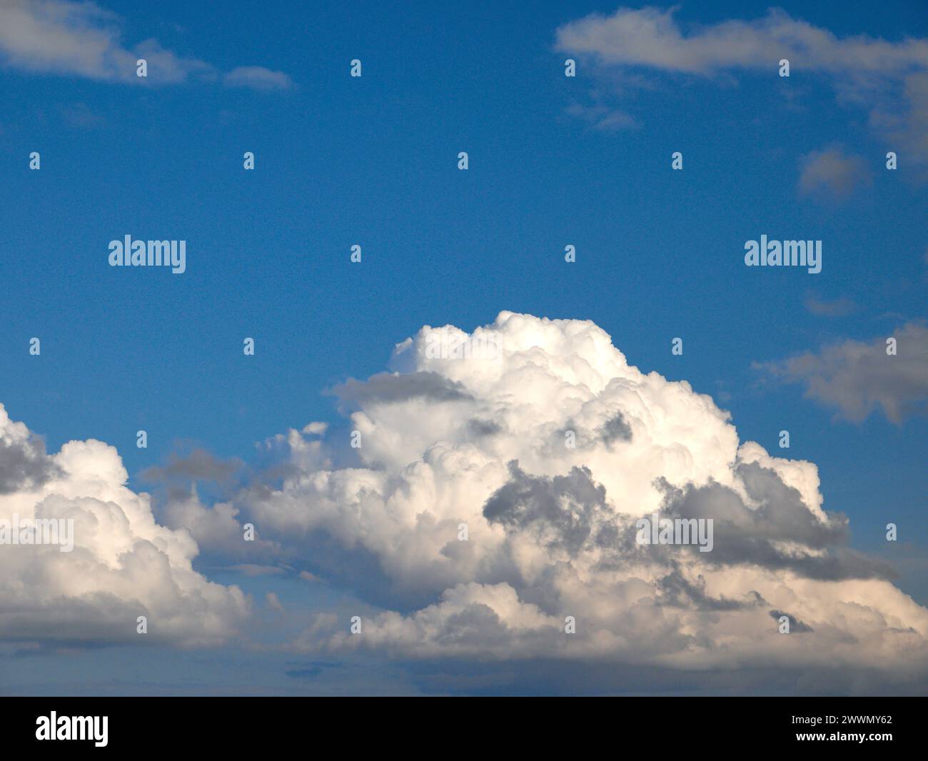 Weiße Cumulus-Wolken Hintergrund, Sommerwolken Stockfoto