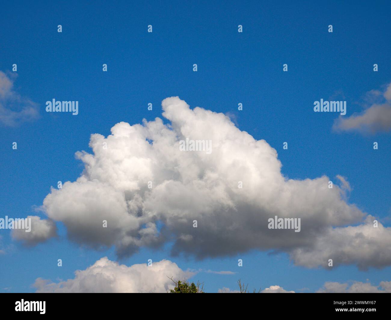 Weiße Cumulus-Wolken Hintergrund, Sommerwolken Stockfoto