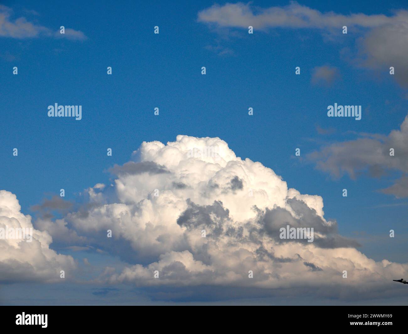 Weiße Wolken cumulus Hintergrund Stockfoto