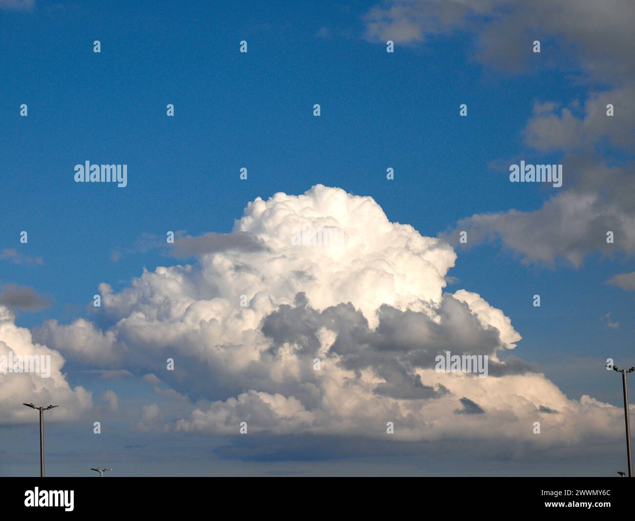 Weiße Cumulus-Wolken Hintergrund, Sommerwolken Stockfoto
