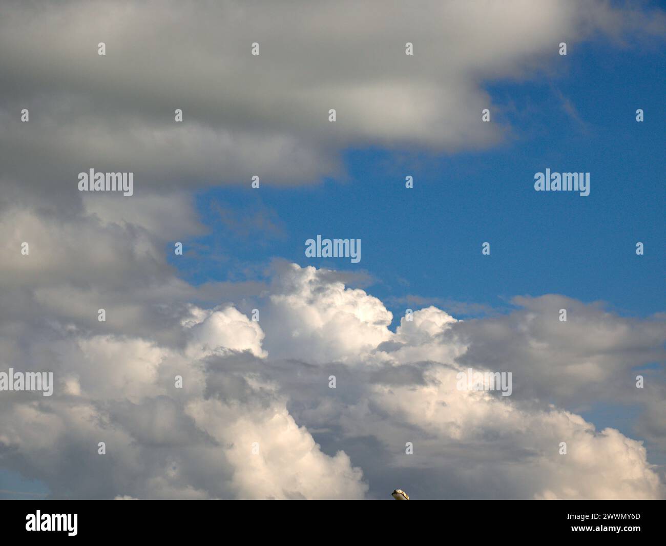 Weiße Cumulus-Wolken Hintergrund, Sommerwolken Stockfoto