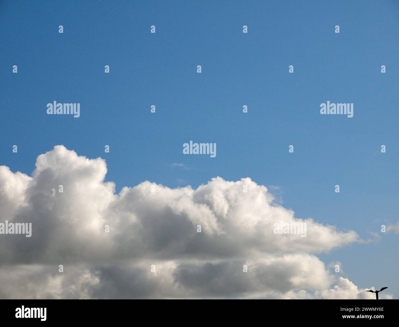 Weiße Cumulus-Wolken Hintergrund, Sommerwolken Stockfoto