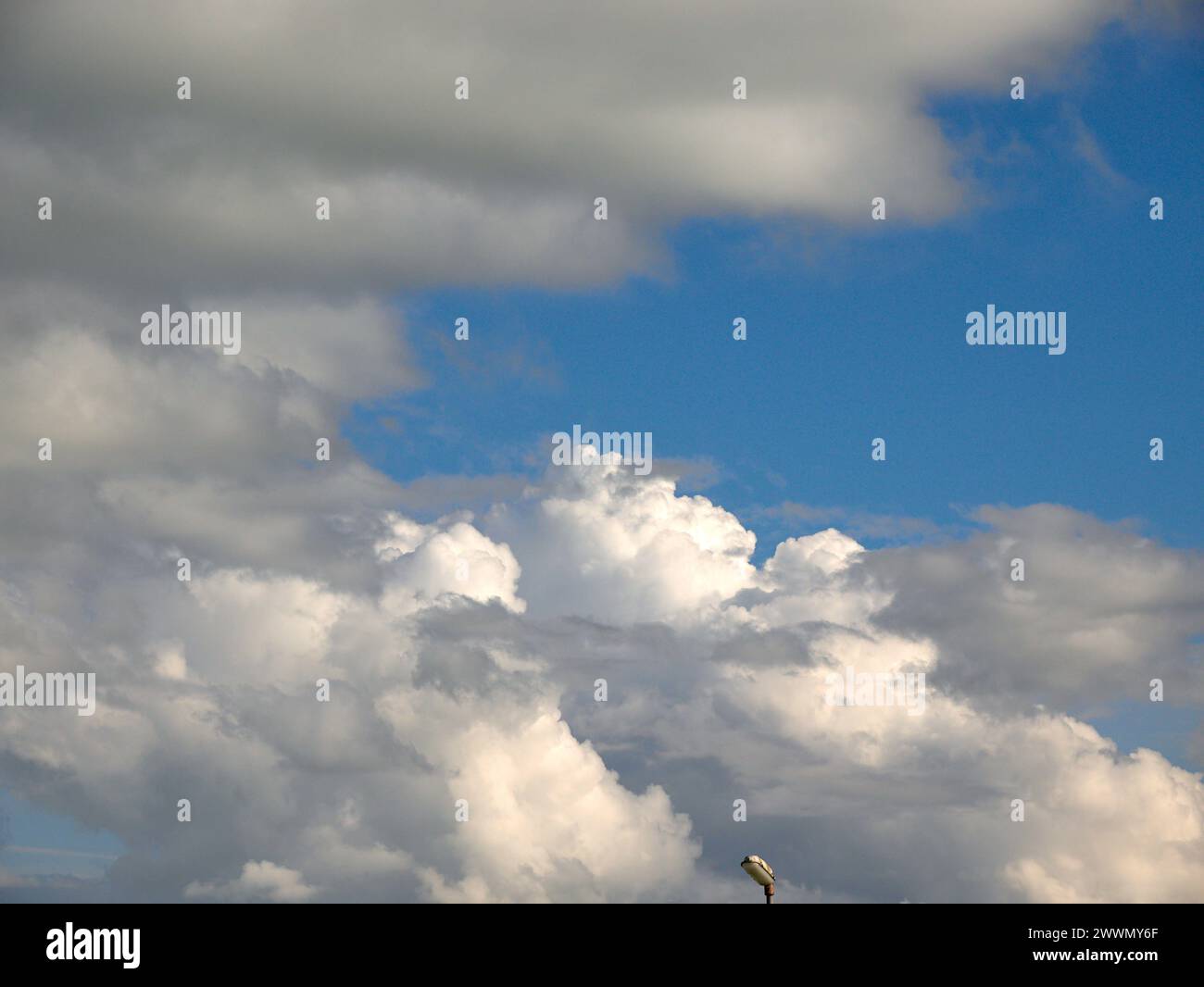 Weiße Cumulus-Wolken Hintergrund, Sommerwolken Stockfoto