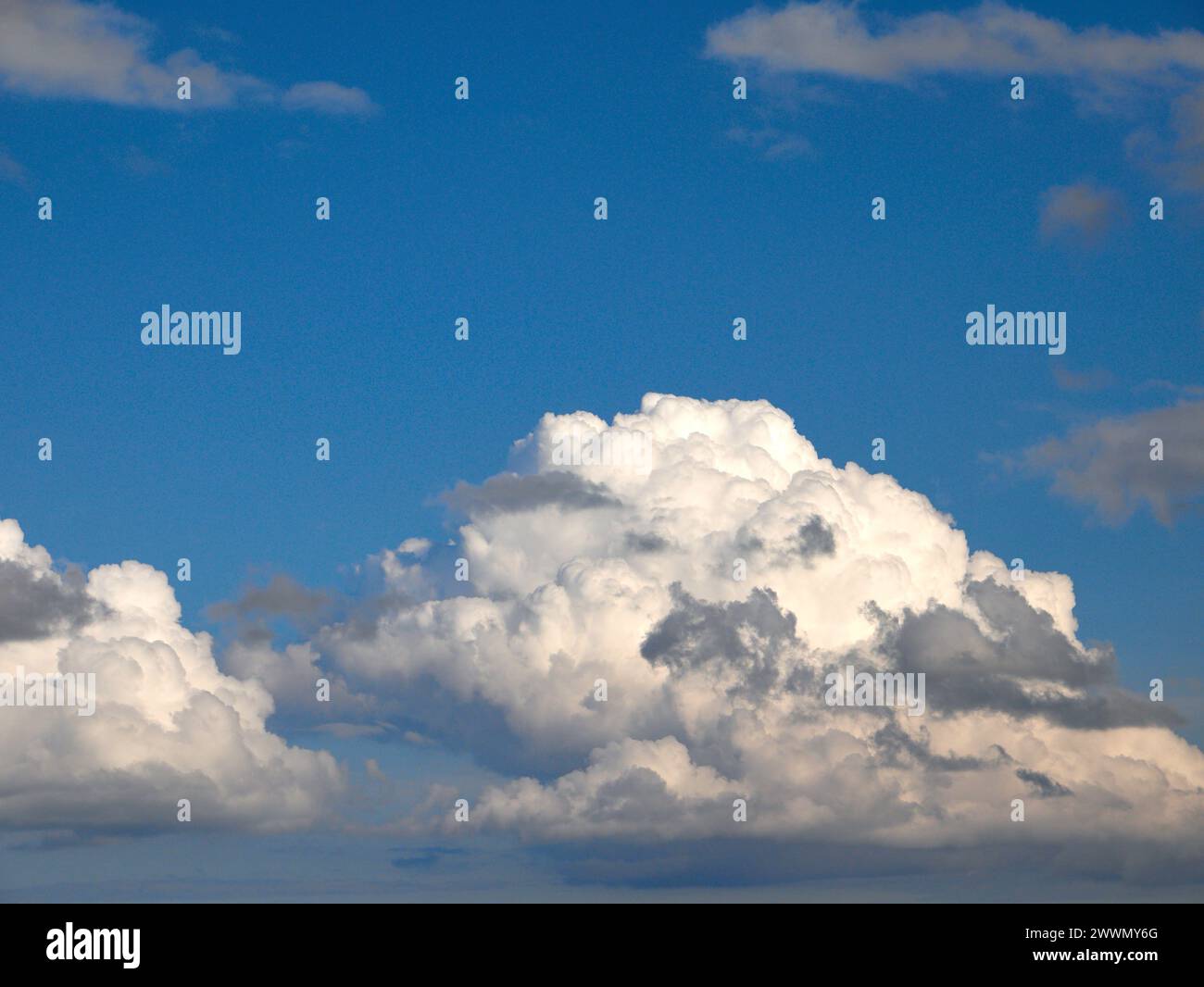Weiße Cumulus-Wolken Hintergrund, Sommerwolken Stockfoto
