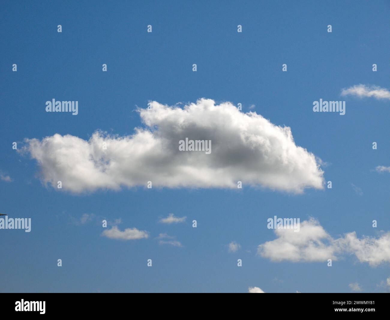 Weiße Cumulus-Wolken Hintergrund, Sommerwolken Stockfoto