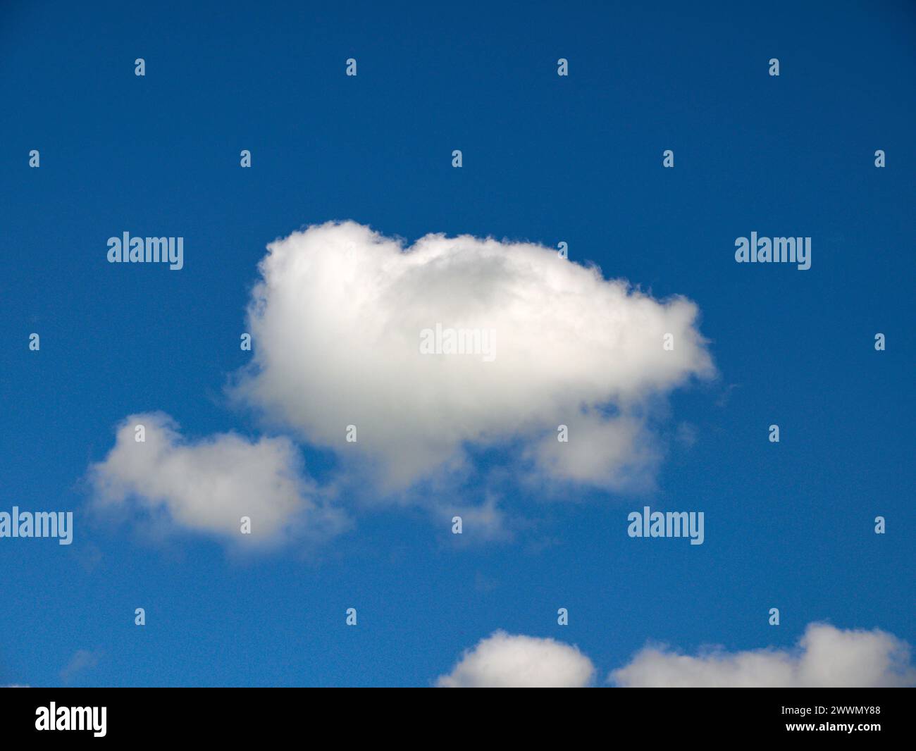 Weiße Cumulus-Wolken Hintergrund, Sommerwolken Stockfoto