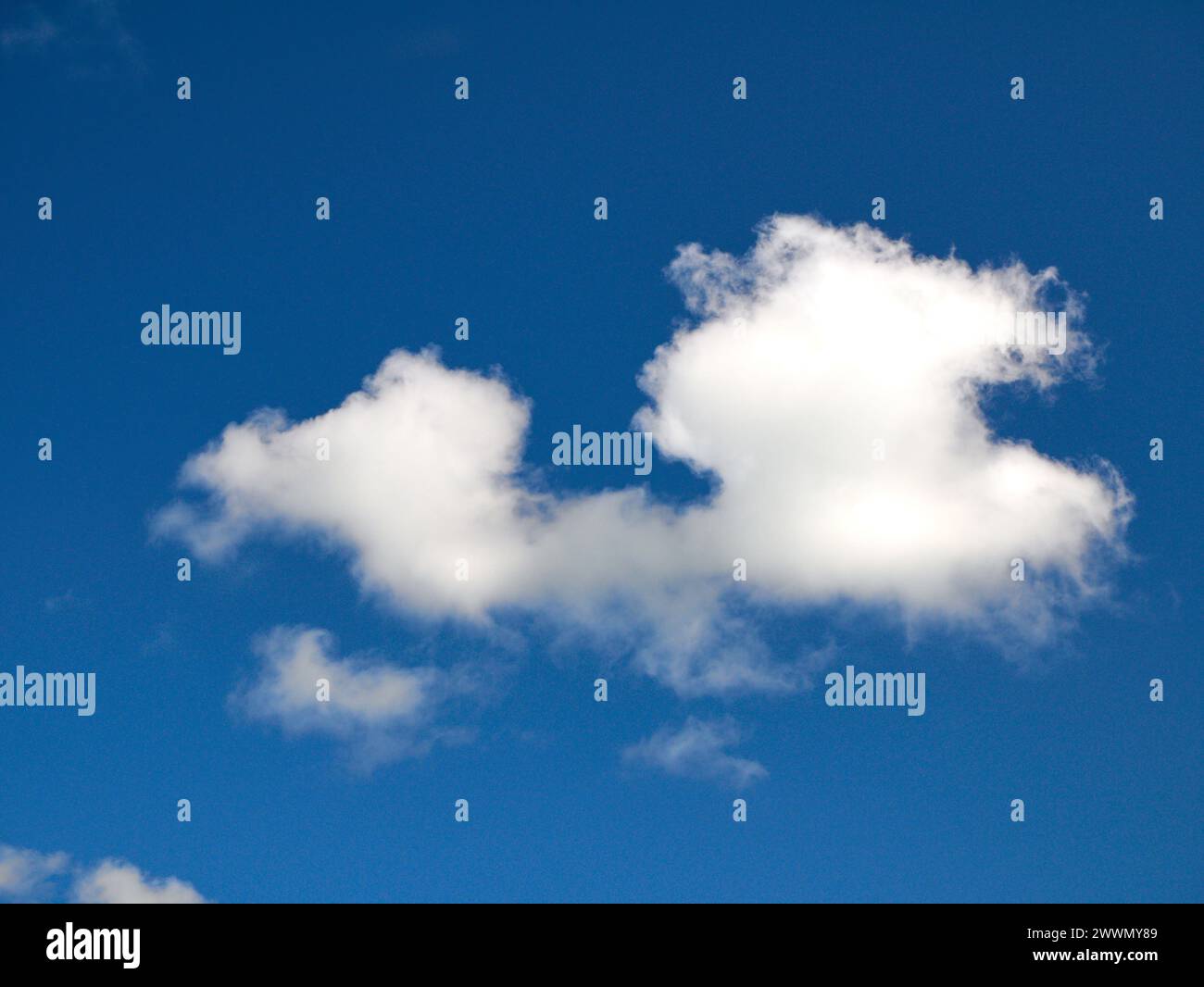 Weiße Cumulus-Wolken Hintergrund, Sommerwolken Stockfoto
