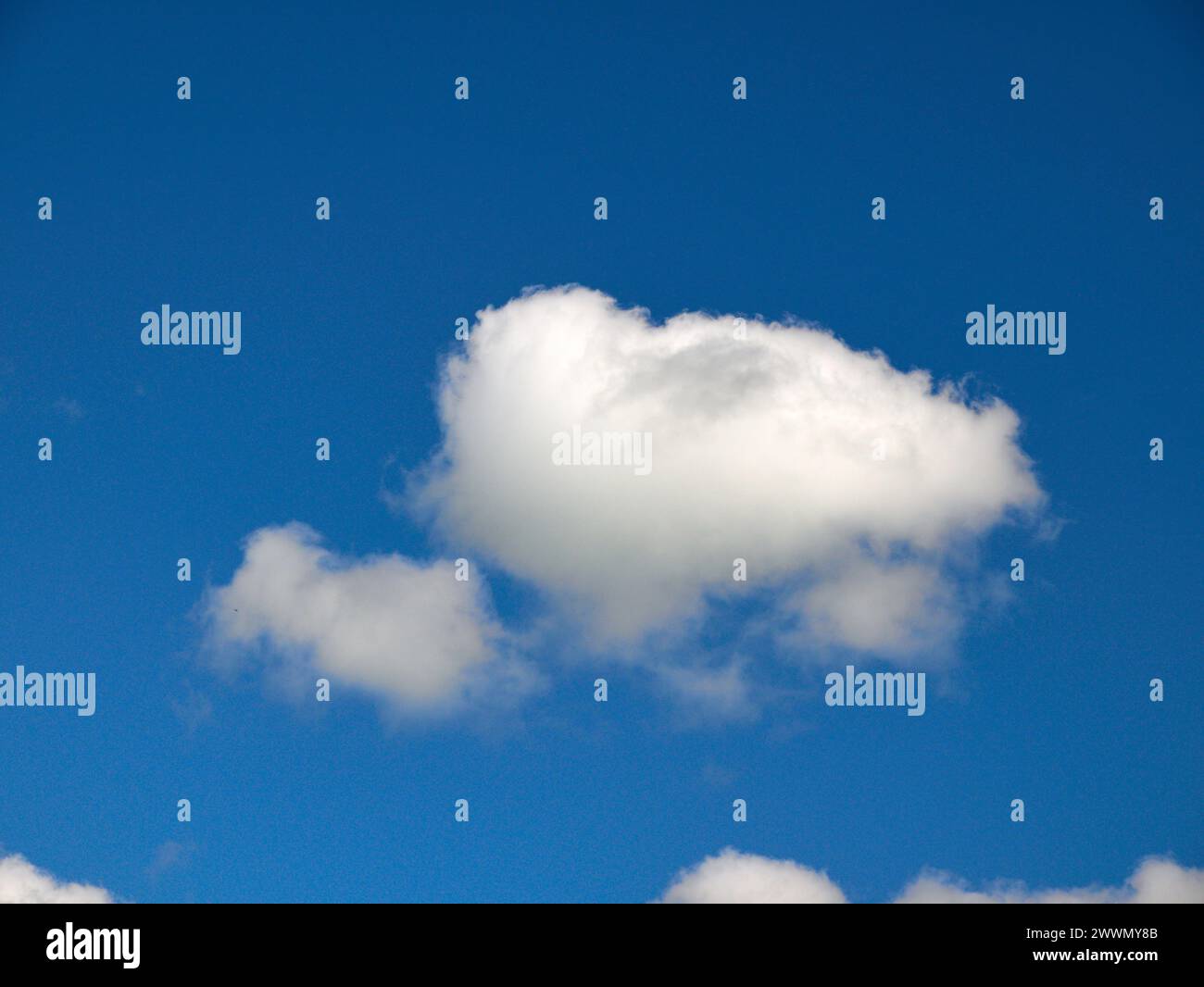 Weiße Cumulus-Wolken Hintergrund, Sommerwolken Stockfoto
