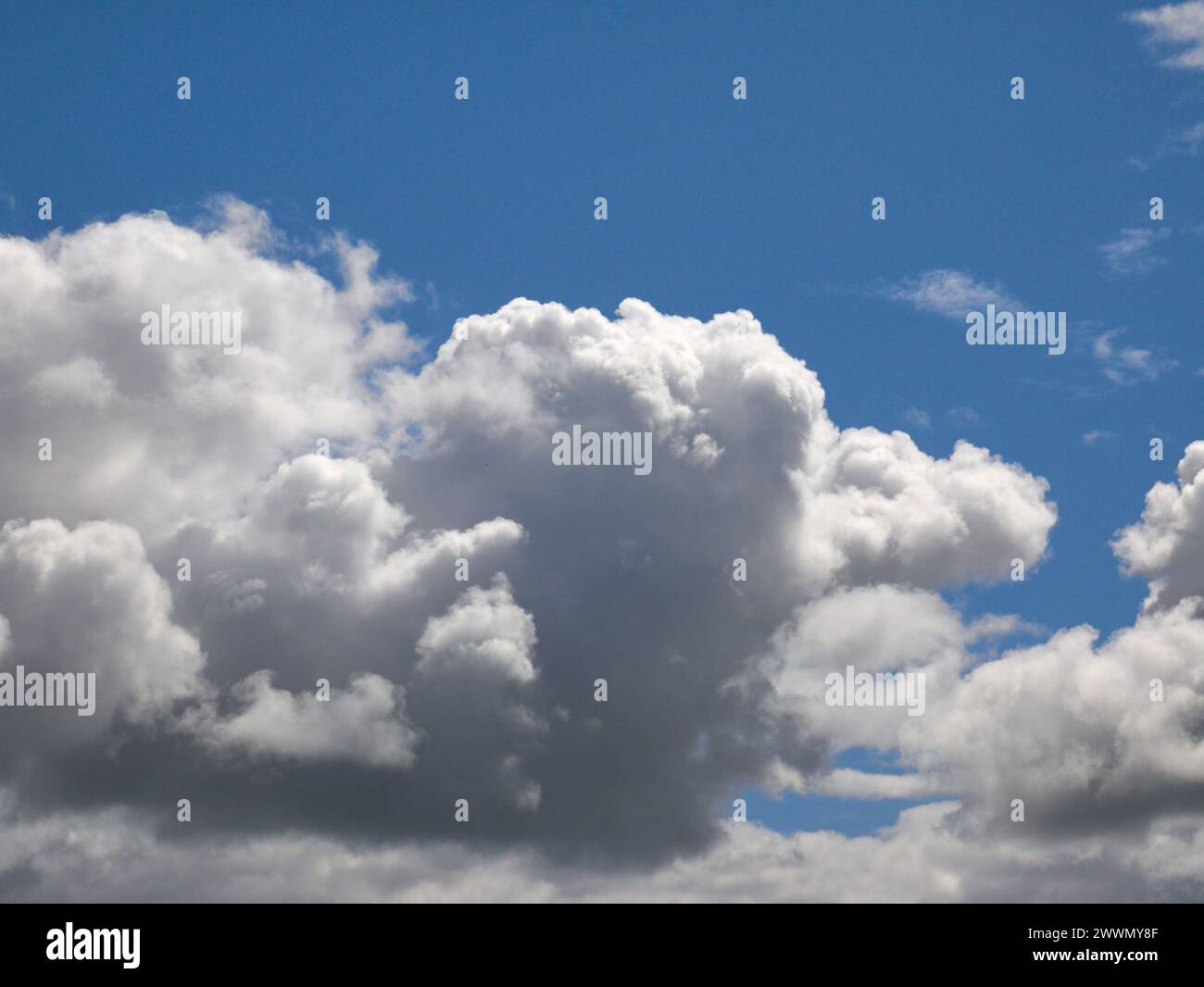 Weiße Cumulus-Wolken Hintergrund, Sommerwolken Stockfoto