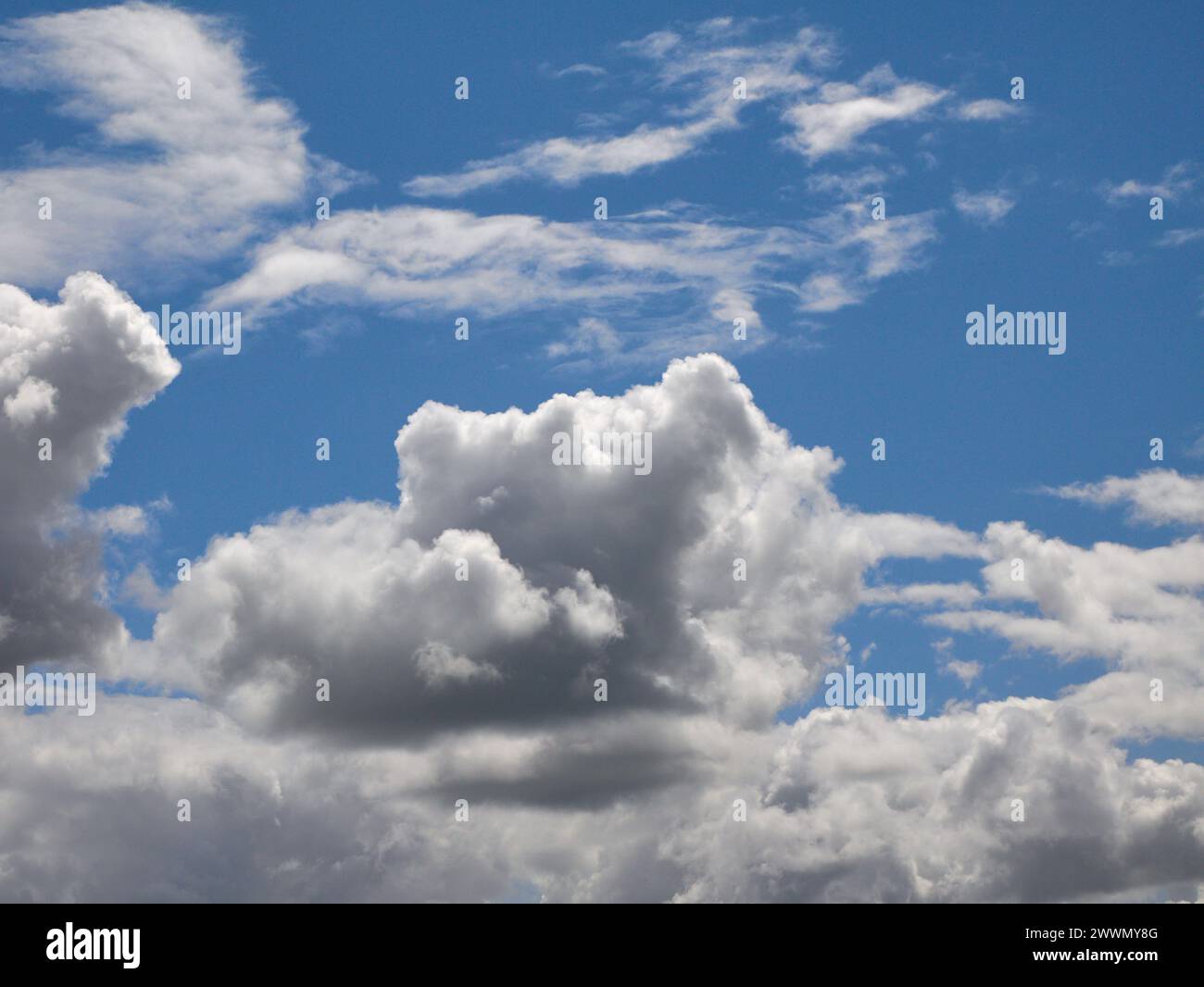 Weiße Cumulus-Wolken Hintergrund, Sommerwolken Stockfoto