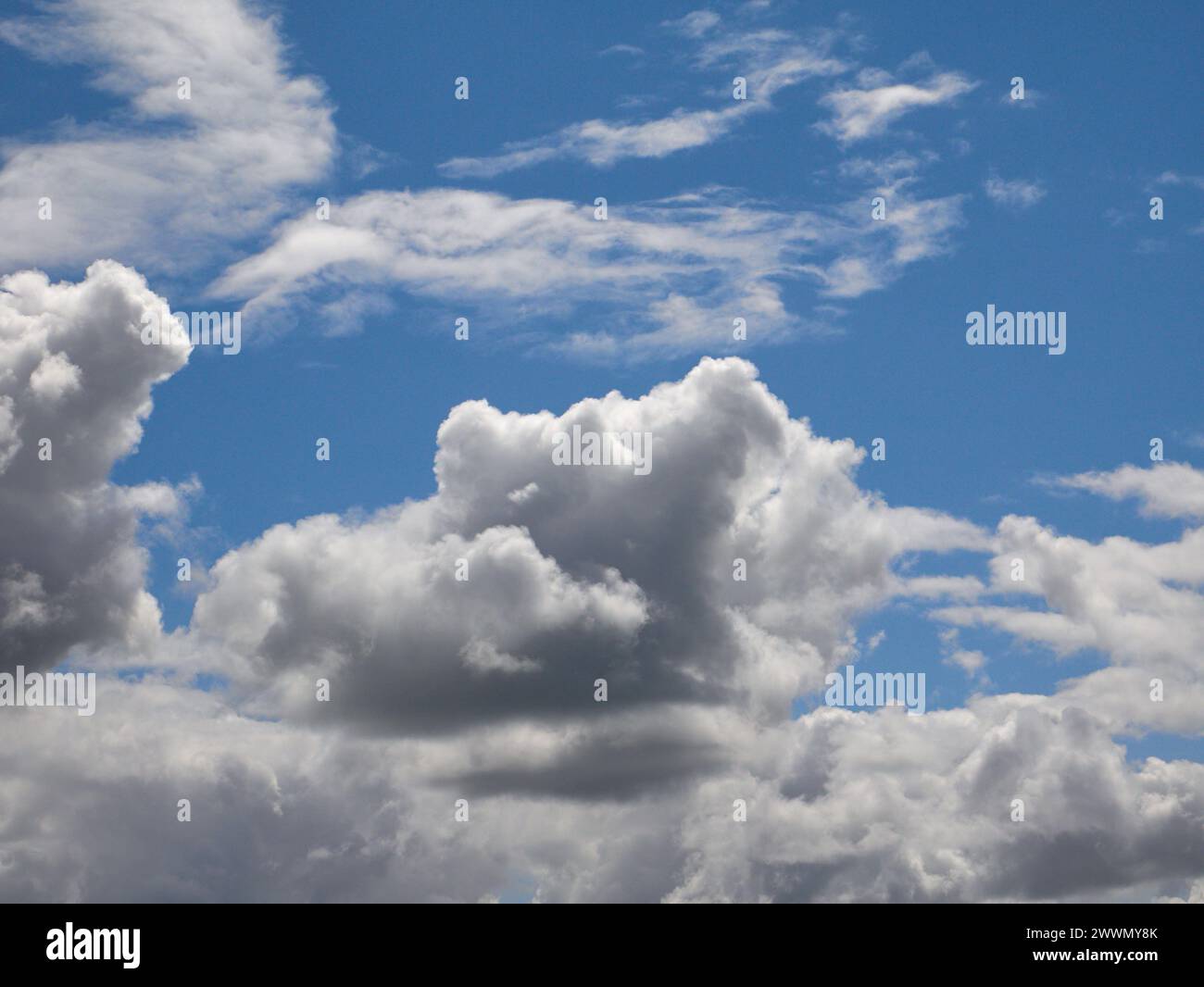 Weiße Cumulus-Wolken Hintergrund, Sommerwolken Stockfoto