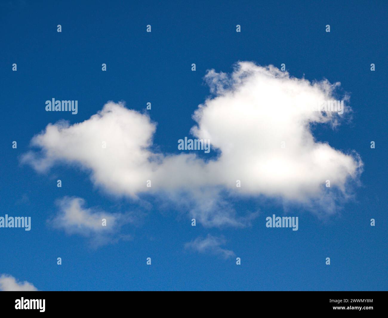 Weiße Cumulus-Wolken Hintergrund, Sommerwolken Stockfoto