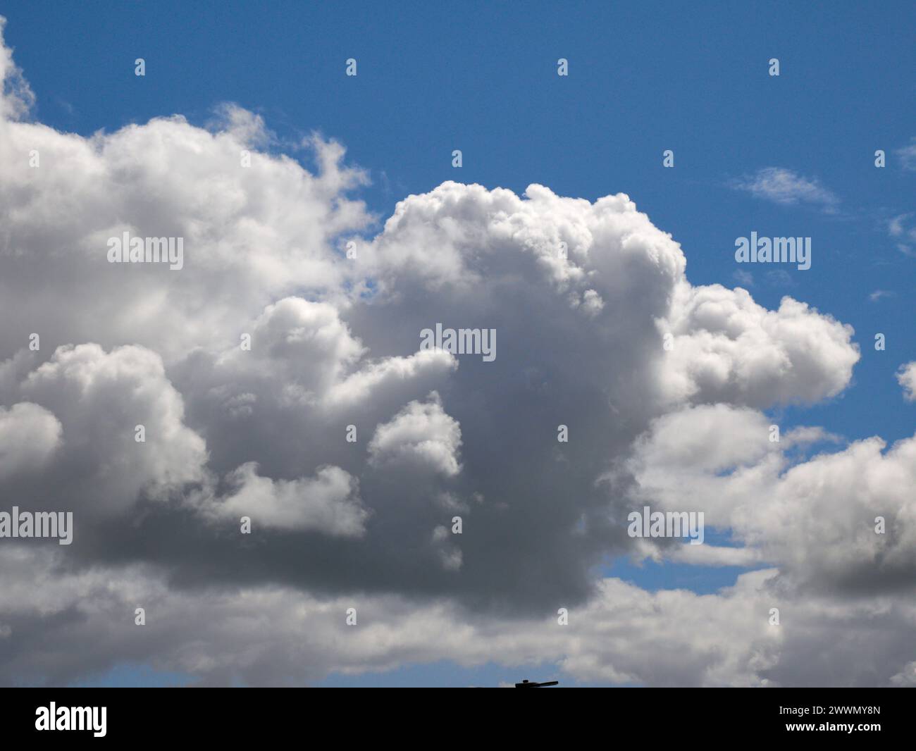 Weiße Cumulus-Wolken Hintergrund, Sommerwolken Stockfoto