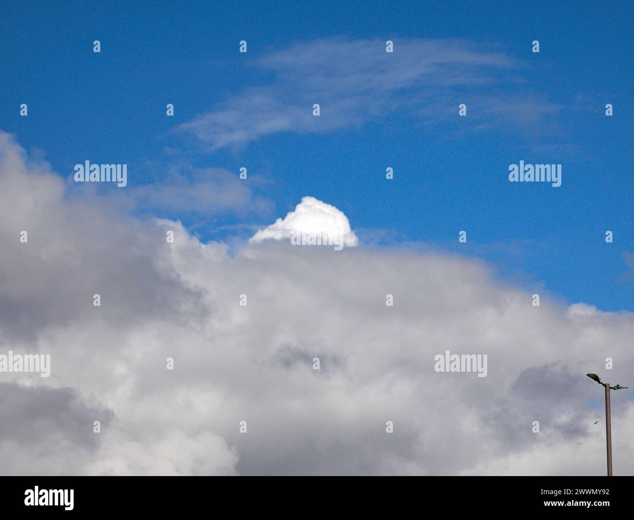 Weiße Cumulus-Wolken Hintergrund, Sommerwolken Stockfoto