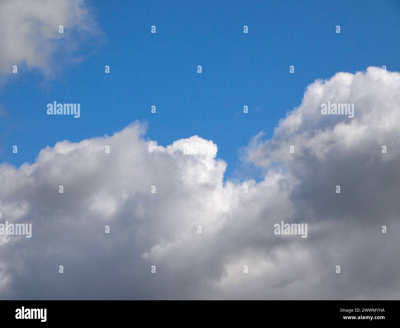 Weiße Cumulus-Wolken Hintergrund, Sommerwolken Stockfoto