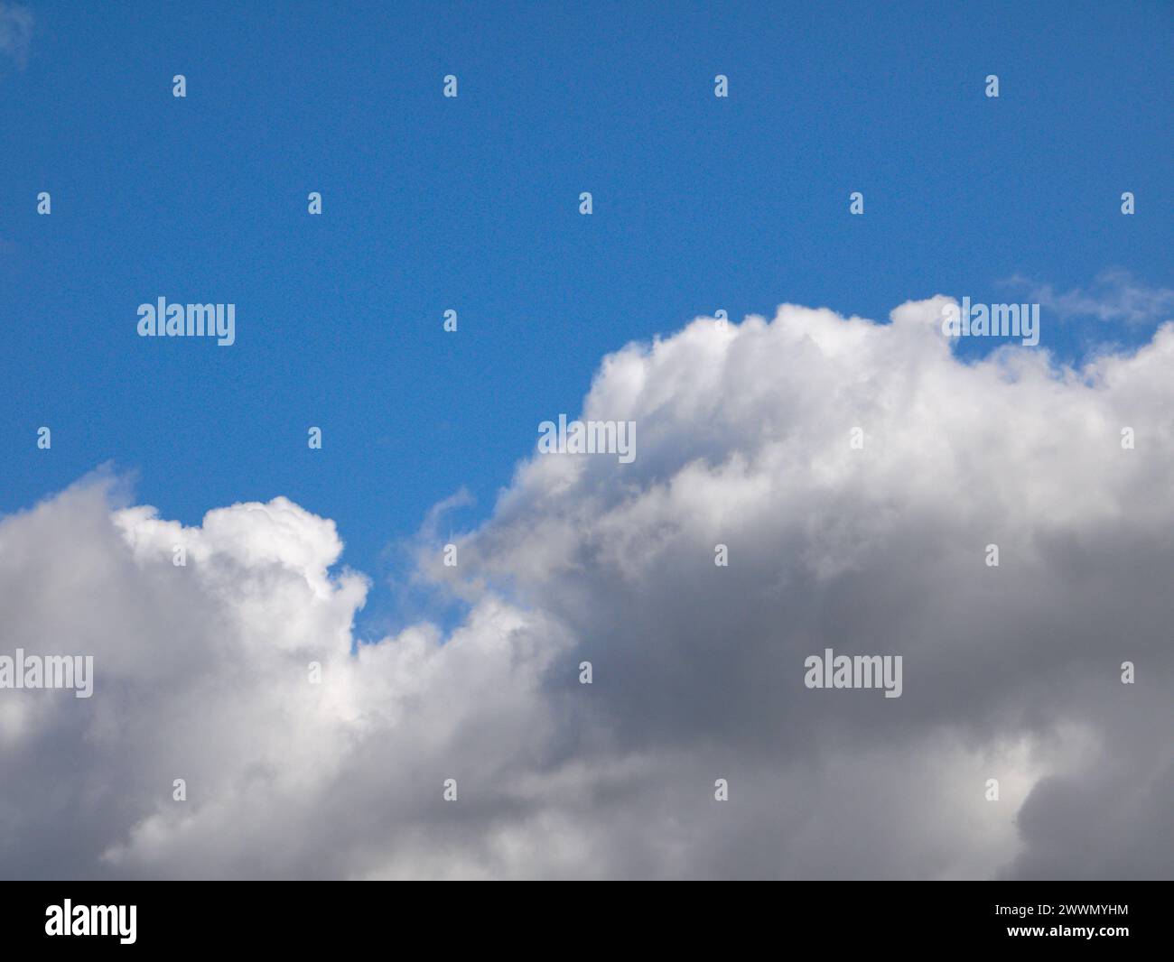 Weiße Cumulus-Wolken Hintergrund, Sommerwolken Stockfoto
