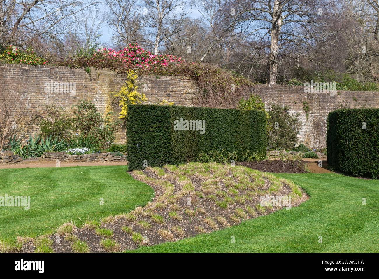 Blick auf Savill Garden im Frühjahr oder März, Surrey England Border, England, Großbritannien Stockfoto
