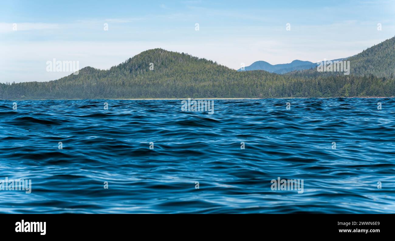 Wellen des Pazifischen Ozeans während des Ausflugs zur Walbeobachtung, Tofino, Vancouver Island, Kanada. Stockfoto