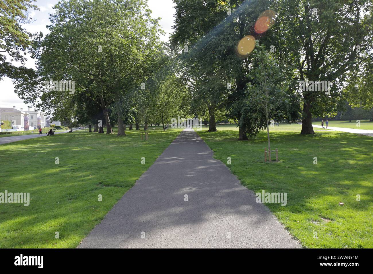 Eine Straße auf die andere Seite eines wunderschönen Parks mit grünem Grasland und Bäumen. Stockfoto