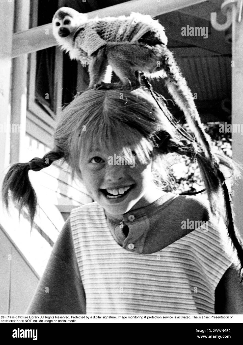 Inger Nilsson. Geboren 1959. Schwedische Kinderdarstellerin, bekannt für die Rolle des Pippi Langstrumpf in der Fernsehserie und in Filmen, die auf der Figur der Autorin Astrid Lindgren basieren. Abgebildet auf dem Filmset von Pippi Långstrump Film 1969 mit ihrem Affen, Mr. Nilsson auf ihrem Kopf. *** Lokale Beschriftung *** Stockfoto