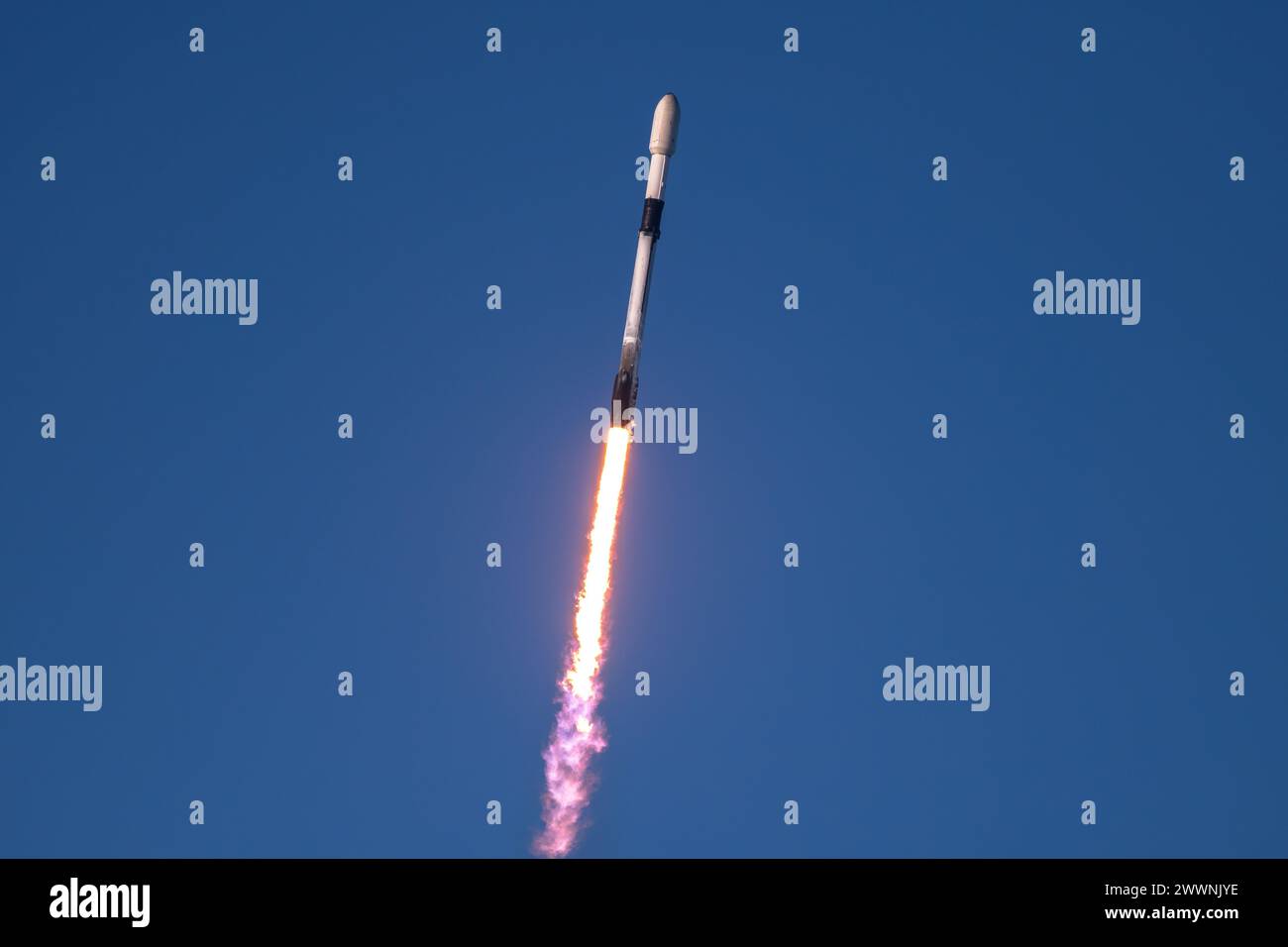 Eine Falcon 9-Rakete mit 24 Starlink-Satelliten startet am 25. Februar 2024 vom Space Launch Complex 40 auf der Cape Canaveral Space Force Station in Florida. Starlink 6-39 ist der 170. SpaceX-Start von SLC-40. Raumkraft Stockfoto