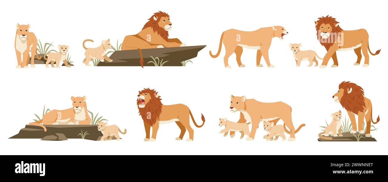 Cartoon-Löwen. Niedliche Löweninnen und Jungtiere, wilde Tiere, Dschungel-Raubtiere der Katzenfamilie in verschiedenen Stellungen, Stolz auf Savanne, König der Bestien, Zoo Stock Vektor