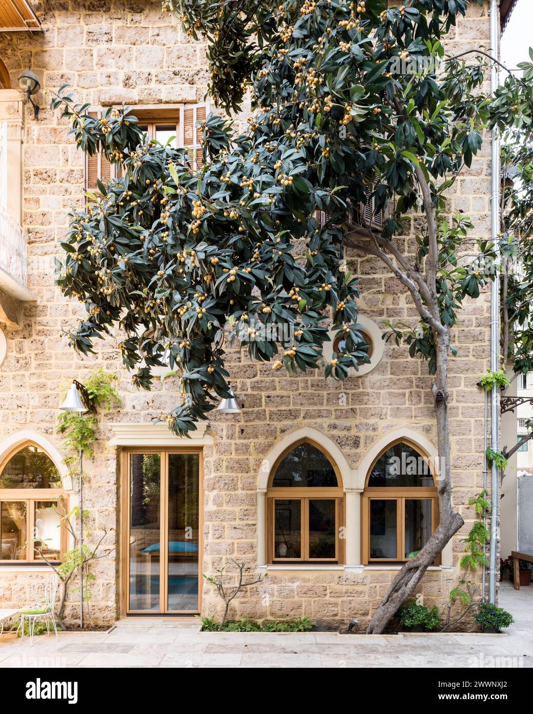 Baum und freiliegende Steinfassade des Luxusappartements in Beirut, Libanon. Stockfoto
