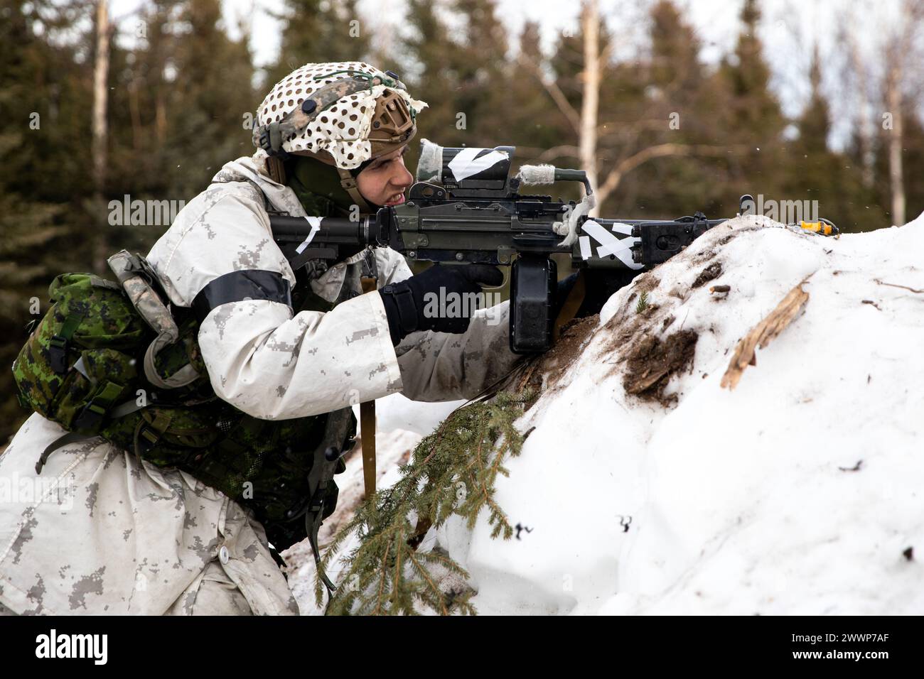 Ein kanadischer Soldat, der der Alpha (Para) Company, 3. Bataillon, Prinzessin Patricia's Canadian Light Infantry, zugewiesen ist, greift gegnerische Kräfte während des Joint Pacific Multinational Readiness Center (JPMRC) 24-02 im Donnelly Training Area, Alaska, am 20. Februar 2024 an. JPMRC 24-02 bietet kombinierten Kräften, gemeinsamen Kräften und Servicekomponenten eine Reihe von Möglichkeiten, um operative Fähigkeiten in der Arktis zu entwickeln und zu testen, wie es bei keiner anderen Schulungseinrichtung weltweit der Fall ist. Armee Stockfoto