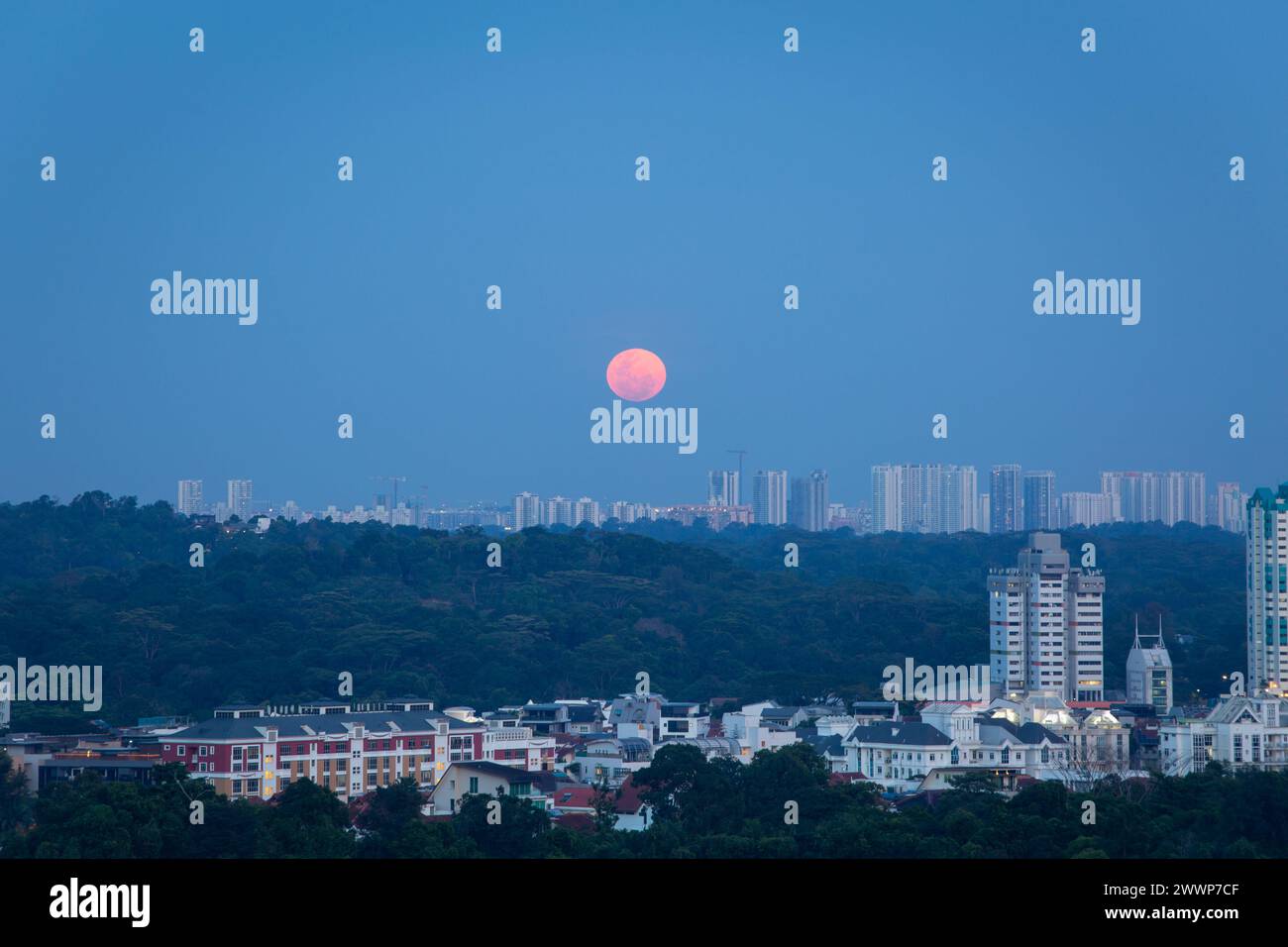 25. März 2024. Der Wurmmond in orangefarbenem Farbton ragt über das Stadtbild in Singapur, Südostasien, auf. Stockfoto