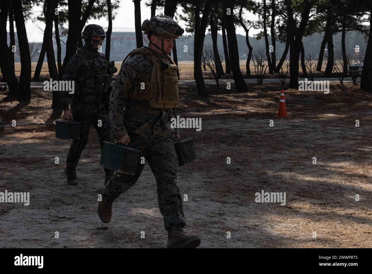 Brian Morris und ein Marine-Sprint der Republik Korea mit Munitionsdosen für einen Fitness-Test während der Korea Viper 24,1 im Hauptquartier der 1. Marine-Infanterie-Division der Republik Korea, 8. Februar 2024. Die CFT ist eine jährliche körperliche Fitness-Bewertung, die die Kampfbereitschaft eines Marine misst und eine Bewegung zum Kontakt, Munition kann heben und unter Feuer manövrieren. Korea Viper demonstriert in seiner ersten Version die Fähigkeit des ROK-US Marine Corps, in der Region als einzigartige, vereinte Kraft entschieden zu reagieren und gleichzeitig die Beziehungen zu stärken Stockfoto