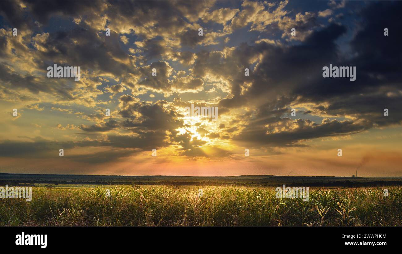 Beograd City - Belgrad Stadt in Serbien Stockfoto