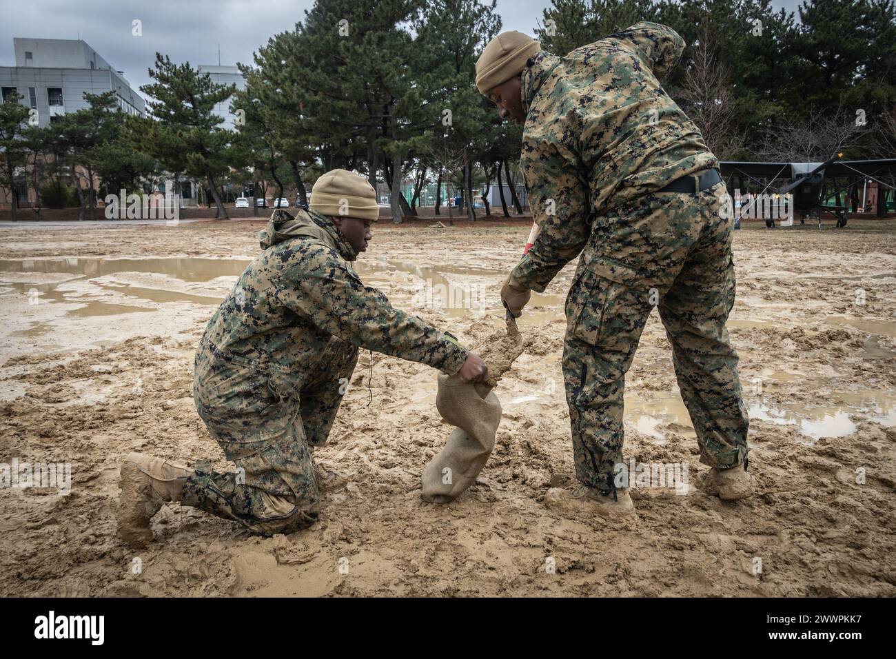 US Marine Corps CPL. Jamyrion V. Stewart, Linke, und Sgt. Frederick B. Osei, beide Verwaltungsangestellte der Hauptquartier-Kompanie, Hauptquartier-Bataillon, 1. Marine-Division, füllen Sandsäcke, während sie einen kombinierten Kommandoposten zur Vorbereitung des Freedom Shield 24 in Pohang, Südkorea, am 25. Februar 2024, bauen. FS 24 ist eine wehrorientierte Übung, die die ROK-USA stärken soll Allianz, die kombinierte Verteidigungsstellung zu verbessern und die Sicherheit und Stabilität auf der koreanischen Halbinsel weiter zu stärken. Stewart stammt aus Louisiana und Osei aus Ghana. Marine Corps Stockfoto
