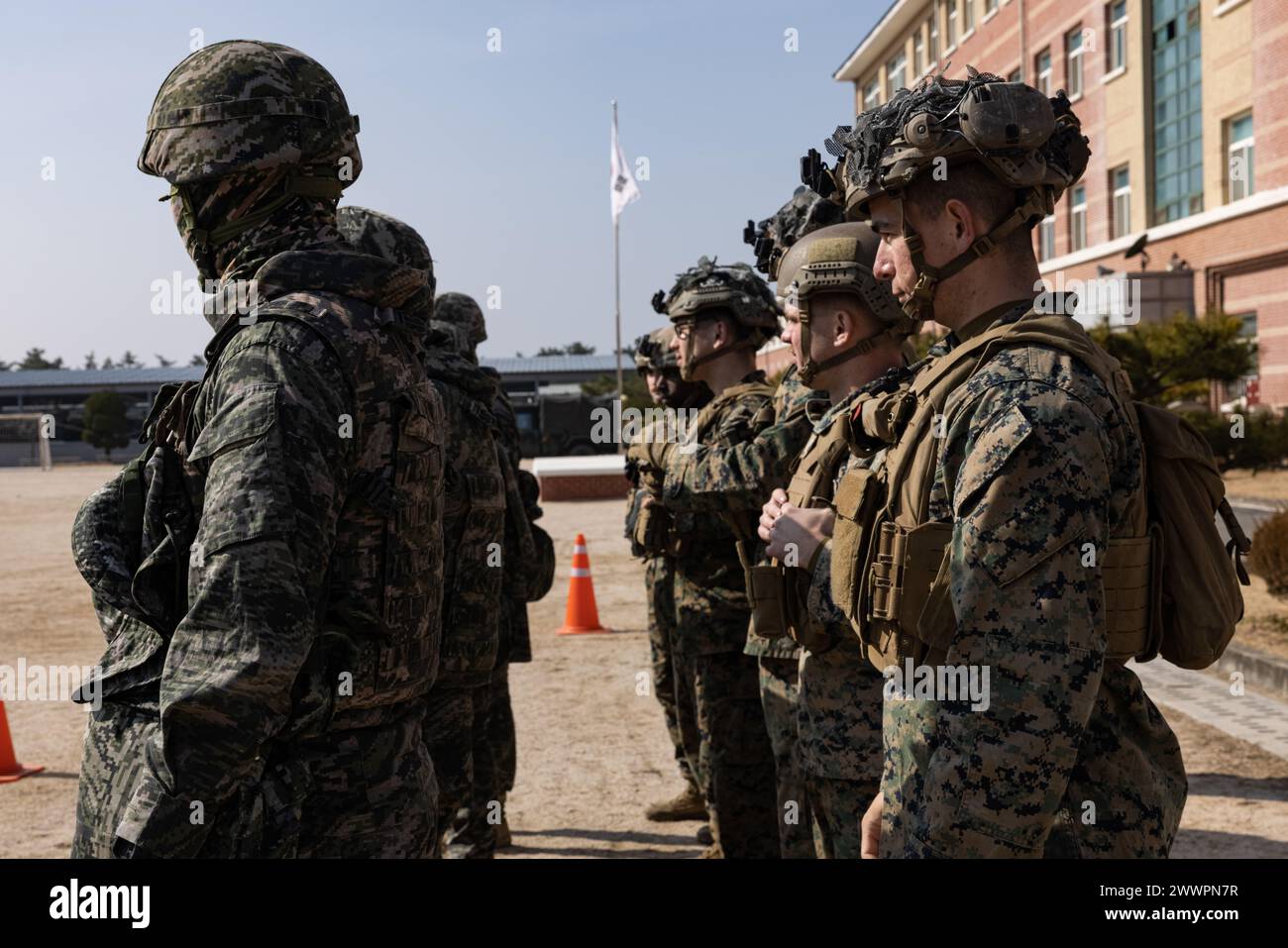 US-Marineinfanteristen und Marineinfanteristen der Republik Korea beobachten eine Demonstration des Kampftaugungstests während der Korea Viper 24,1 im Hauptquartier der 1. Marine-Infanterie-Division der Republik Korea am 8. Februar 2024. Die CFT ist eine jährliche körperliche Fitness-Bewertung, die die Kampfbereitschaft eines Marine misst und eine Bewegung zum Kontakt, Munition kann heben und unter Feuer manövrieren. Korea Viper demonstriert in seiner ersten Version die Fähigkeit des ROK-US Marine Corps, in der Region als einzigartige, vereinte Kraft entschieden zu reagieren und gleichzeitig die Beziehungen und das Vertrauen zwischen den beiden Verbündeten zu stärken. Die Ma Stockfoto
