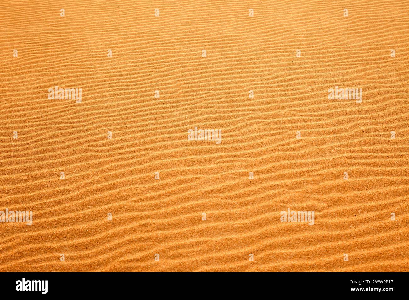 Wellen im Sand in einer Wüste in Südafrika nützlich als Hintergrund für ein feindseliges, trockenes und karges Gelände. Stockfoto