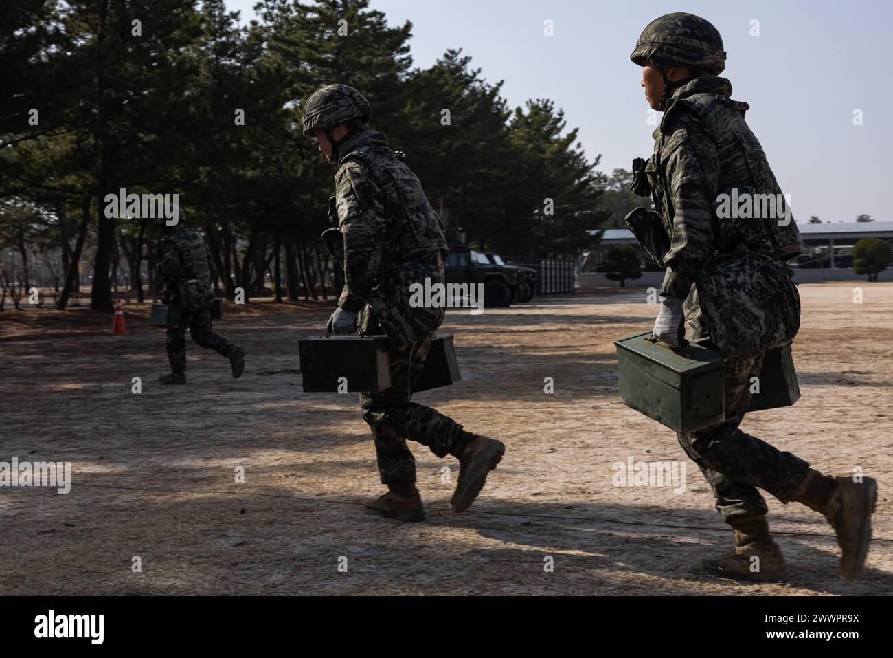 Die Marine der Republik Korea nehmen an einem Fitness-Test während der Korea Viper 24,1 im Hauptquartier der 1. Marine Infantry Division der Republik Korea, am 8. Februar 2024 Teil. Die CFT ist eine jährliche körperliche Fitness-Bewertung, die die Kampfbereitschaft eines Marine misst und eine Bewegung zum Kontakt, Munition kann heben und unter Feuer manövrieren. Korea Viper demonstriert in seiner ersten Version die Fähigkeit des ROK-US Marine Corps, in der Region als einzigartige, vereinte Kraft entschieden zu reagieren und gleichzeitig die Beziehungen und das Vertrauen zwischen den beiden Verbündeten zu stärken. Die Marines sind bei der 2. Batta Stockfoto