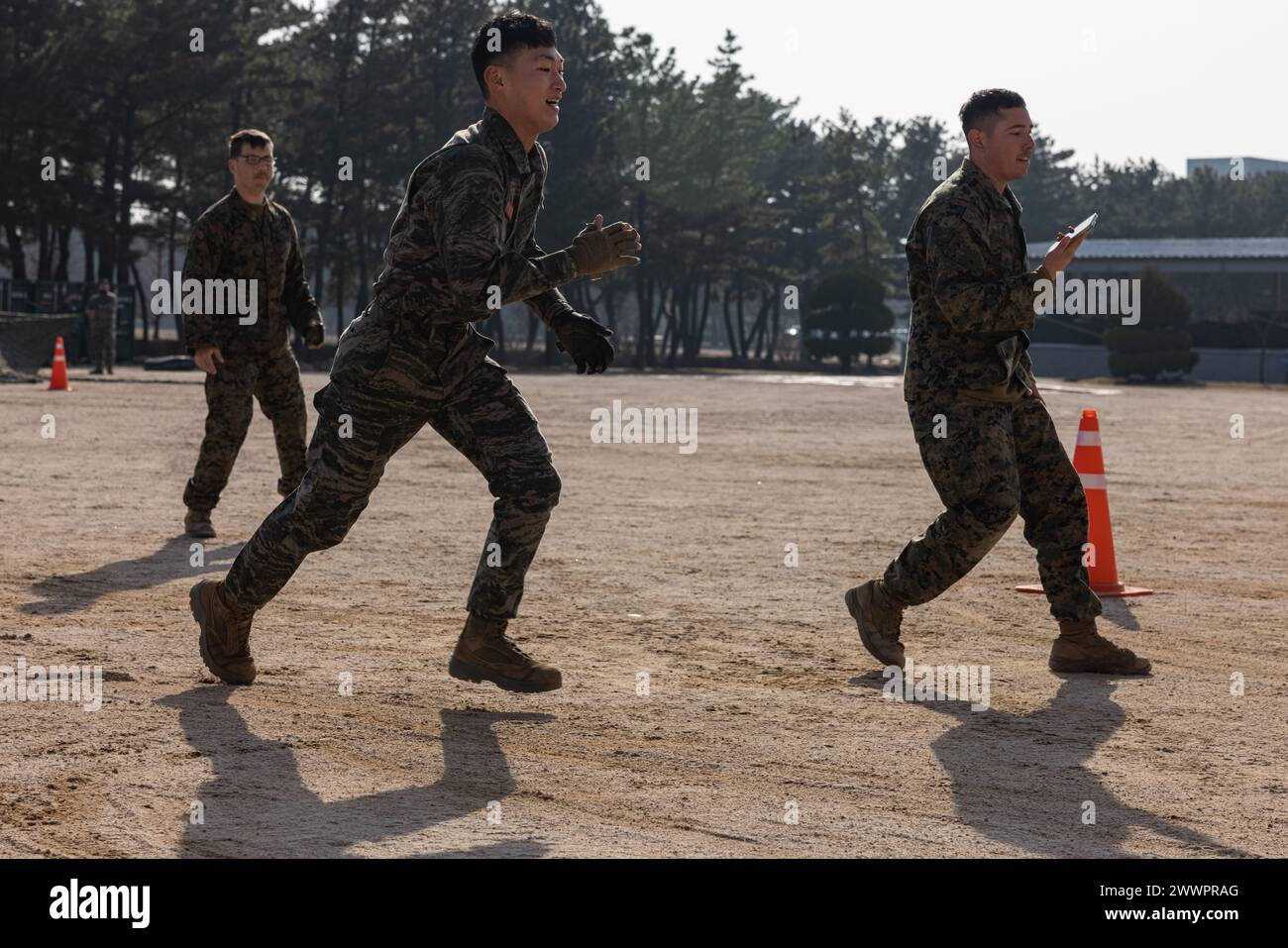 Die US-Marines und die Republik Korea führen das Manöver unter Beschuss des Fitnesstests während der Korea Viper 24,1 im Hauptquartier der 1. Marine-Infanterie-Division der Republik Korea am 8. Februar 2024 durch. Die CFT ist eine jährliche körperliche Fitness-Bewertung, die die Kampfbereitschaft eines Marine misst und eine Bewegung zum Kontakt, Munition kann heben und unter Feuer manövrieren. Korea Viper demonstriert in seiner ersten Version die Fähigkeit des ROK-US Marine Corps, in der Region als einzigartige, vereinte Kraft entschieden zu reagieren und gleichzeitig die Beziehungen und das Vertrauen zwischen den TW zu stärken Stockfoto