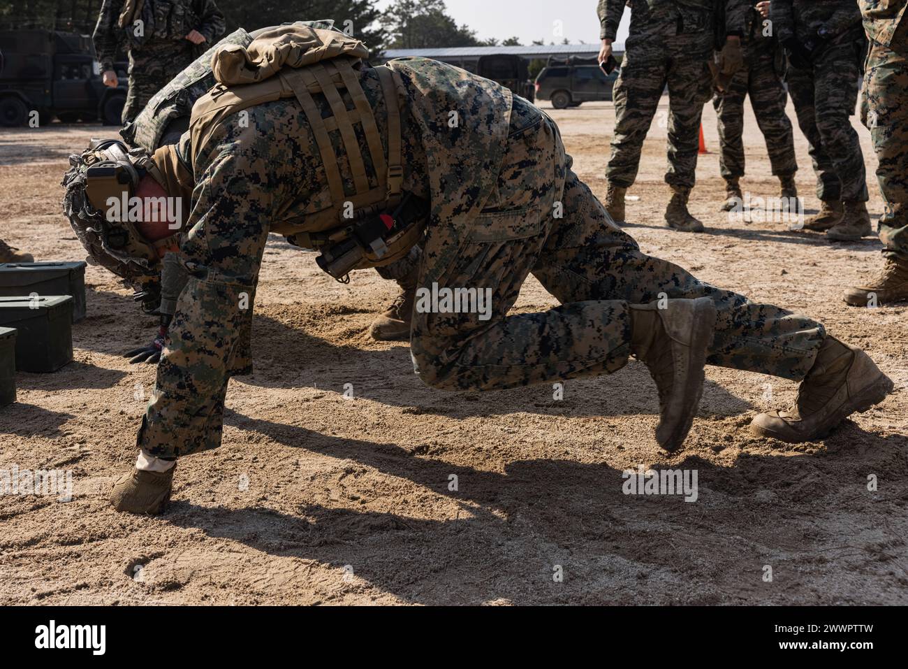 Niko Tila führt während der Korea Viper 24,1 im Hauptquartier der 1. Marine Infantry Division der Republik Korea, Republik Korea, am 8. Februar 2024 Bergsteiger für einen Kampf-Fitness-Test des Republic of Korea Marine Corps durch. Die CFT ist eine jährliche körperliche Fitness-Bewertung, die die Kampfbereitschaft eines Marine misst und eine Bewegung zum Kontakt, Munition kann heben und unter Feuer manövrieren. Korea Viper demonstriert in seiner ersten Version die Fähigkeit des ROK-US Marine Corps, in der Region als einzigartige, vereinte Kraft entschieden zu reagieren und gleichzeitig Beziehungen und Vertrauen zu stärken Stockfoto